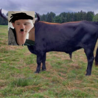 Miniaturansicht für das Anzeigenbild